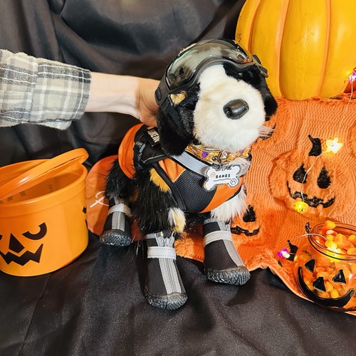 New bernese mountain dog - new,