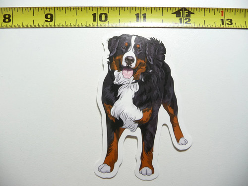 Bernese mtn mountain dog small - dog,