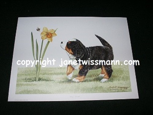 Ltd fine art - s/n, print
