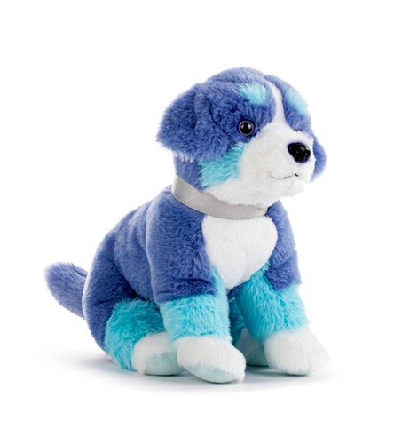 Bernese mountain dog blue - dog,